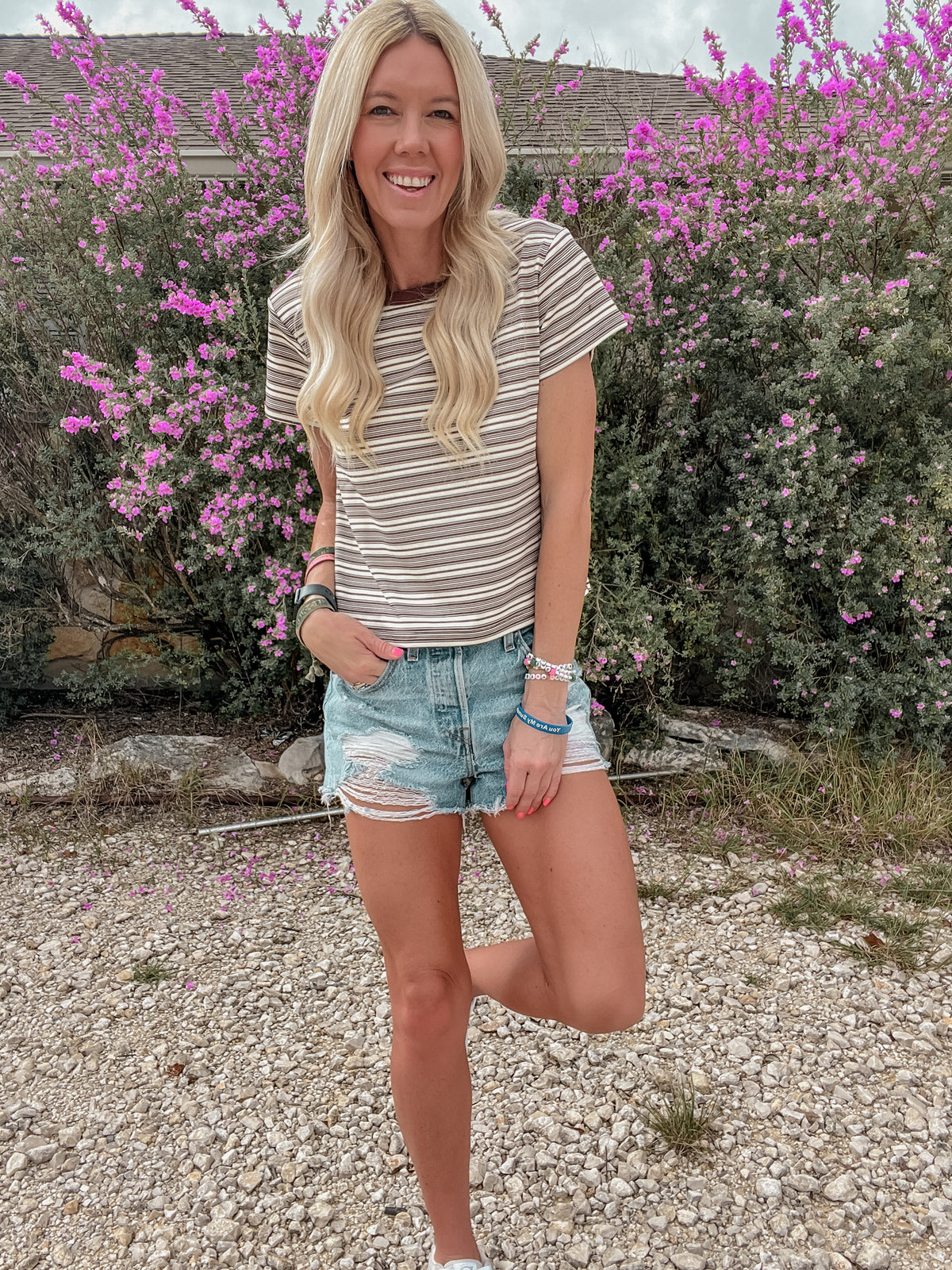 The Abner Short Sleeve Stripe Top (Brown)