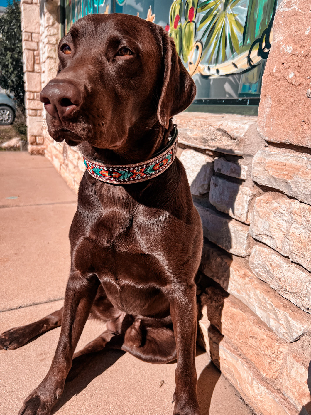 Beaded Leather Dog Collars