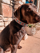 Beaded Leather Dog Collars