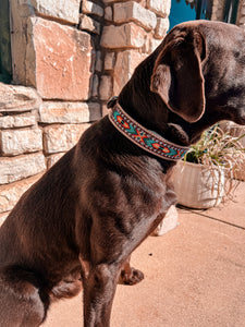 Beaded Leather Dog Collars