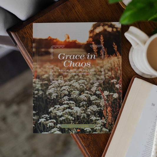 Grace in Chaos | Biblical Hope For the Hard Days of Motherhood - The Vintage Emmie