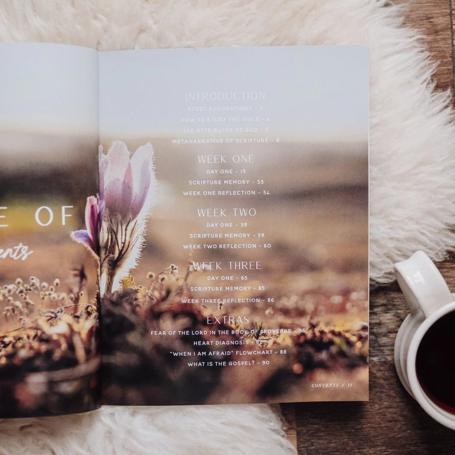 When Fear Meets Faith - The Vintage Emmie