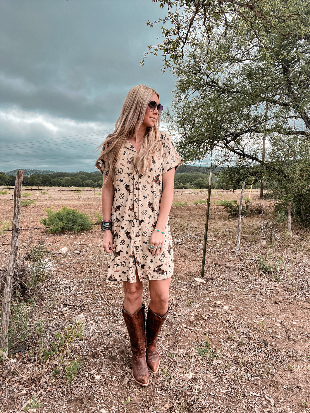 The Cowboy Scene Button Down Dress (Taupe)